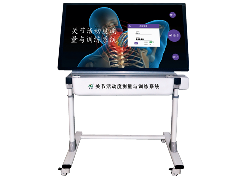 全身关节活动度测量与训练系统
